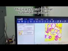 Epson I3200A1 X 8 Sublimationsdruckmaschine mit Maintop6.1 Fotoprint ONYX NeoStampa