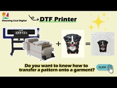 Maintop-DTF-Drucker mit Epson XP600 Druckkopf und Pigmenttinte